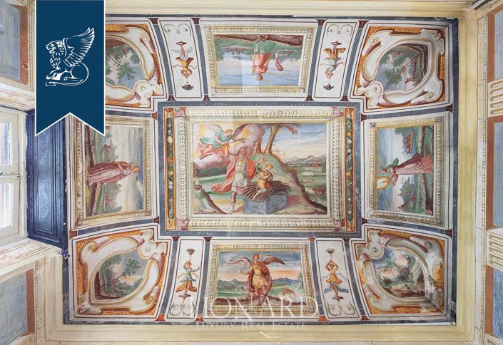 Image No.45-20 Bed Villa for sale