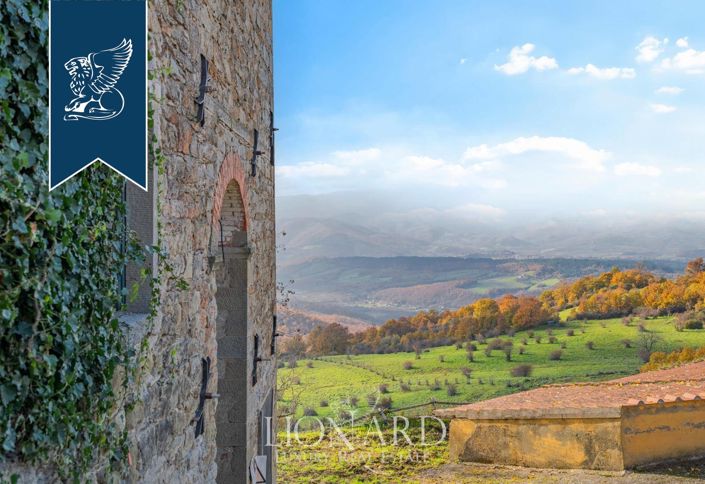 Image No.9-Maison de campagne de 40 chambres à vendre à Bibbiena