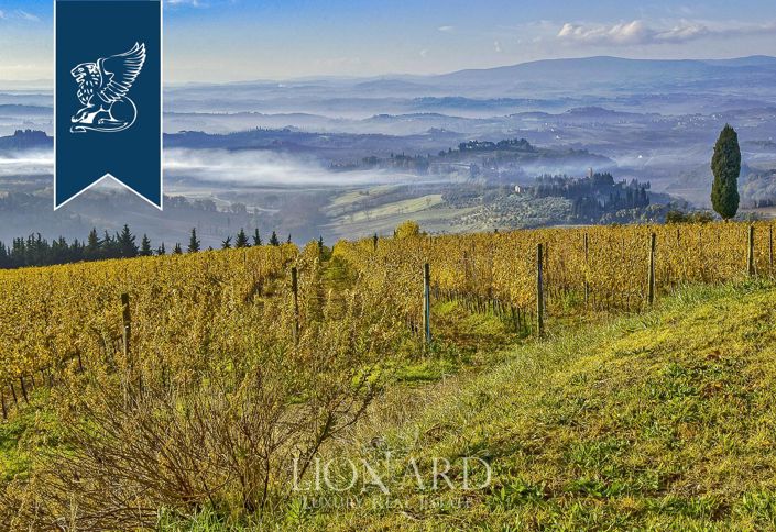 Image No.9-15 Bed Farmhouse for sale