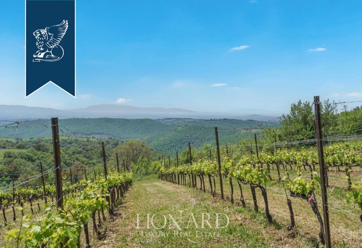 Image No.18-Ferme de 5 chambres à vendre à Magliano in Toscana