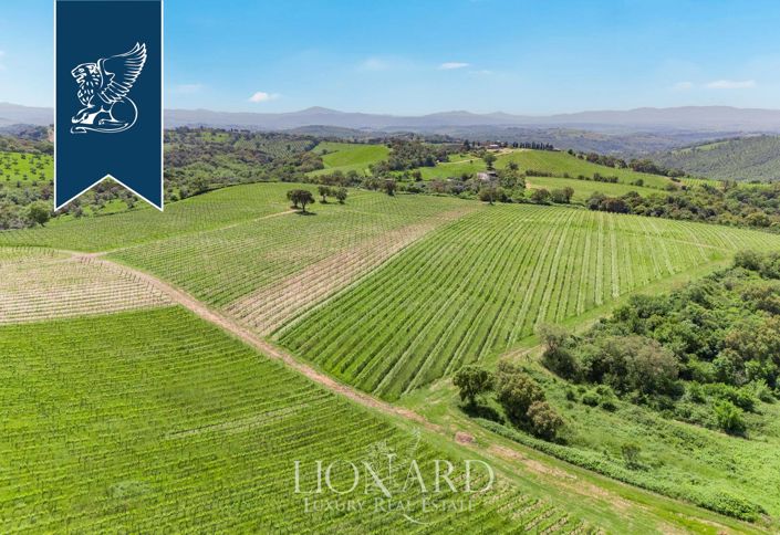 Image No.5-Ferme de 5 chambres à vendre à Magliano in Toscana