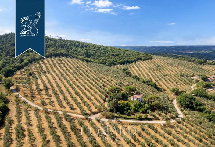 Image No.3-36 Bed Villa for sale