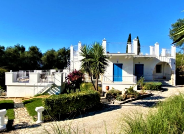 Screenshot-2025-08-27-162808