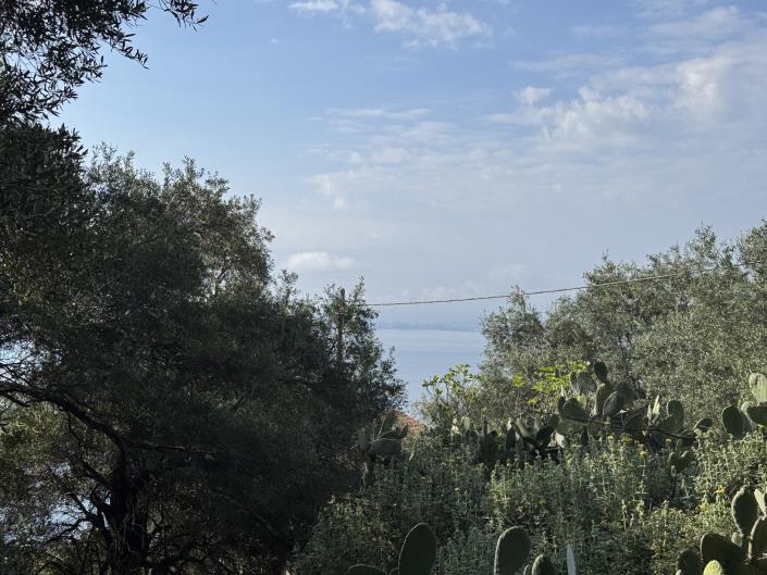 Image No.8-Maison de 4 chambres à vendre à Nissaki