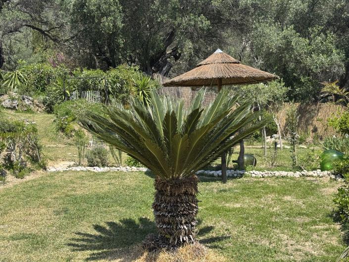 Image No.4-Maison de 2 chambres à vendre à Corfou