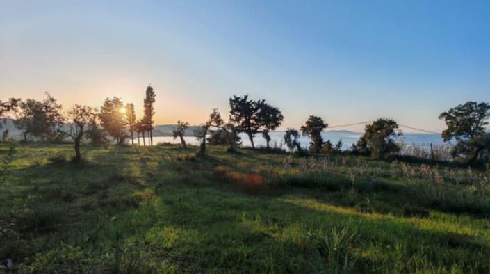 Image No.11-5 Bed Villa for sale