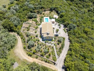 419bdb2d90e98857581998a4c0c5ce49