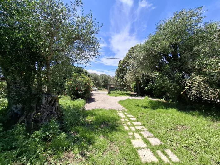 Image No.14-Maison de 2 chambres à vendre à Mesoggi