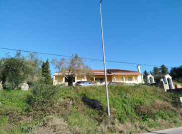 Screenshot-2025-07-14-114656