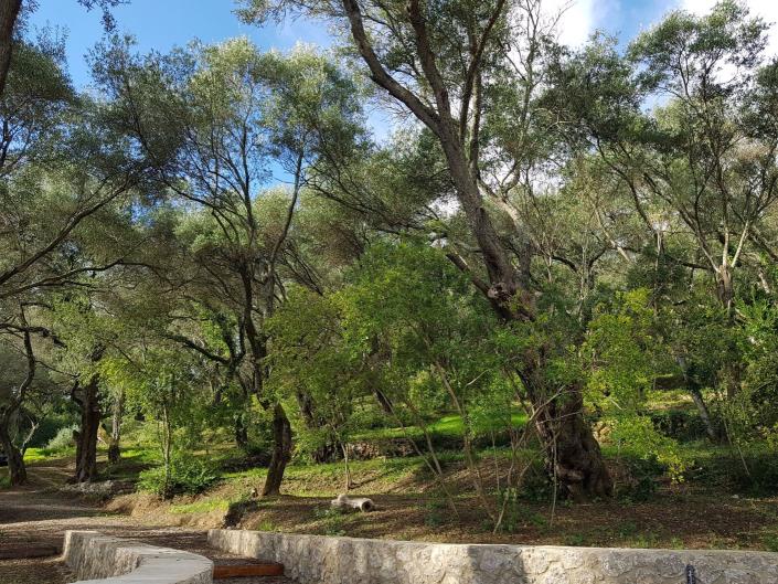 Image No.5-4 Bed Villa for sale