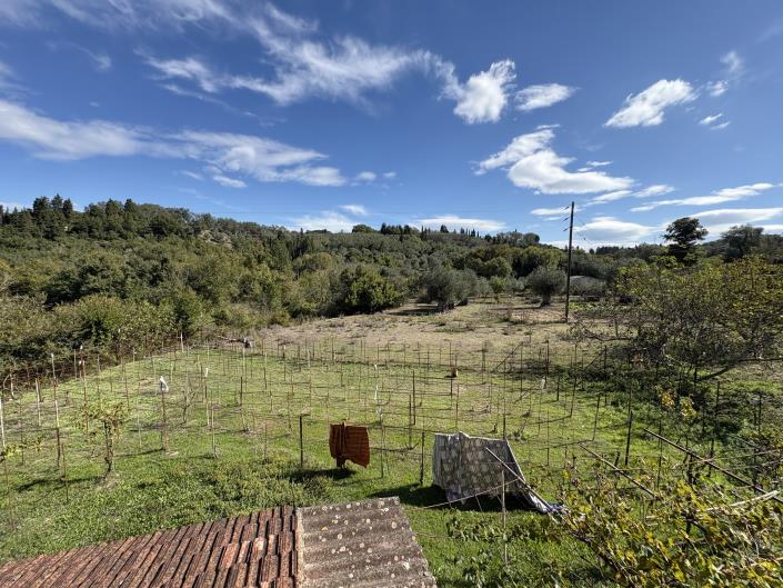 Image No.20-6 Bed House for sale