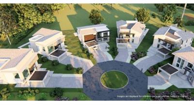 WhatsApp-Image-2025-05-16-at-8-26-41-AM--2-