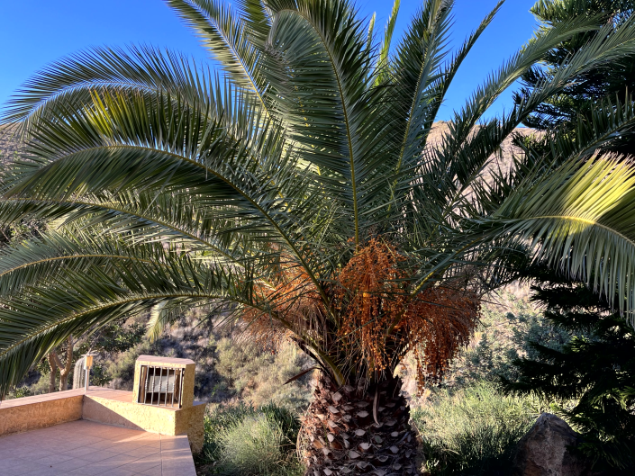 Image No.28-Maison de campagne de 11 chambres à vendre à Águilas