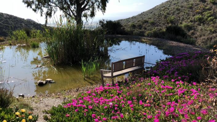 Image No.34-Maison de campagne de 11 chambres à vendre à Águilas