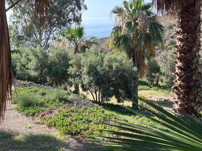 Image No.33-Maison de campagne de 11 chambres à vendre à Águilas