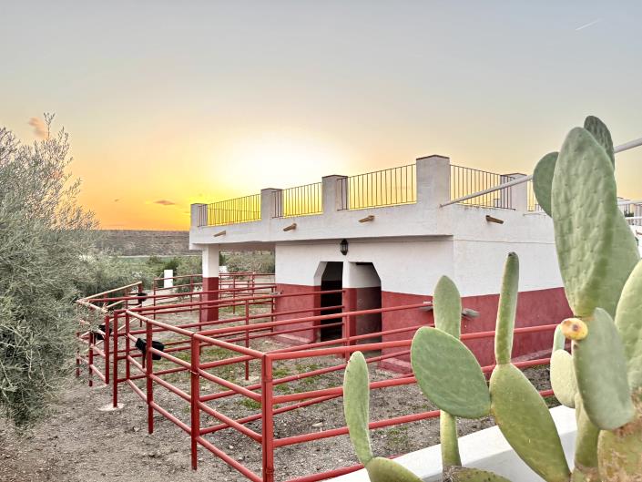 Image No.60-8 Bed Chalet for sale