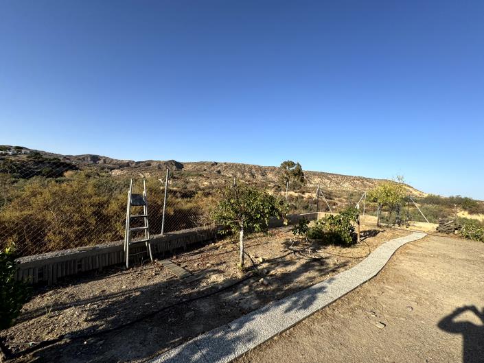 Image No.37-Propriété de pays de 4 chambres à vendre à Águilas