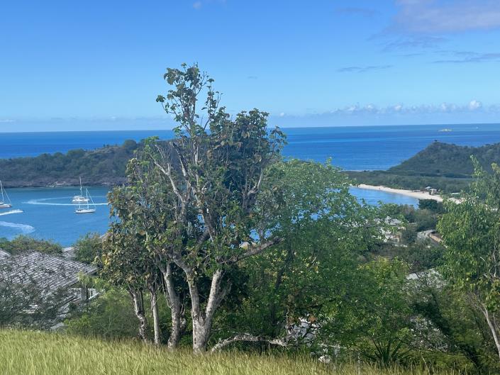 Image No.2-Terre à vendre à Galley Bay Heights