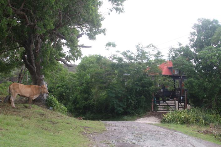 Image No.7-Maison / Villa de 2 chambres à vendre à Old Road