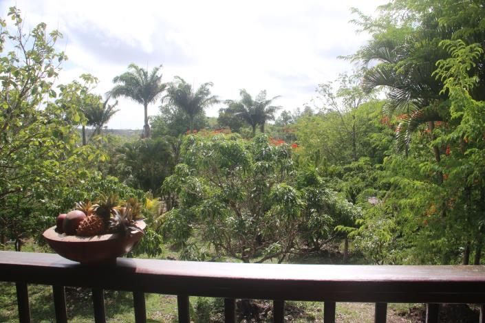 Image No.8-Maison / Villa de 2 chambres à vendre à Old Road