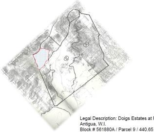 PHOTO-2025-06-03-09-03-15