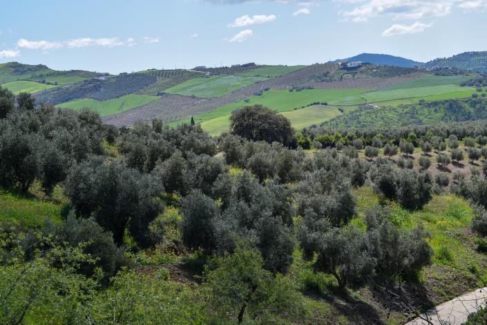 Image No.36-5 Bed Property for sale