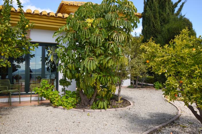 Image No.48-5 Bed Property for sale