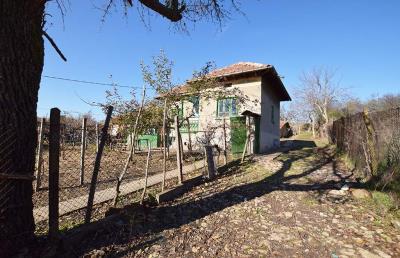 Ruse--Mowlem-Real-Estate--Piperkovo-House-XVIII--2