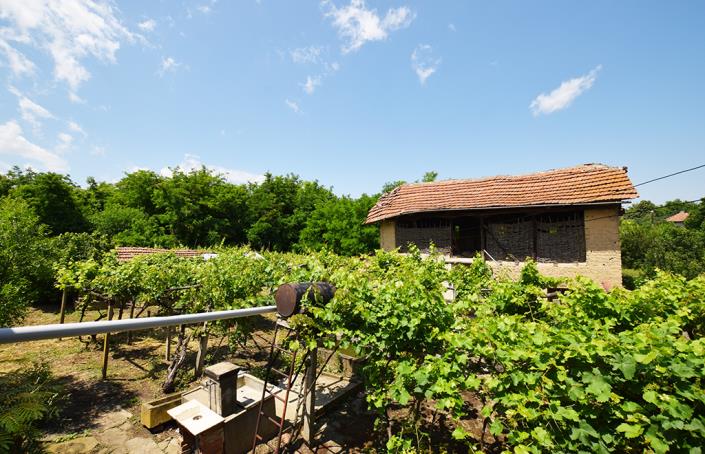 Image No.40-Maison de 2 chambres à vendre à Belene