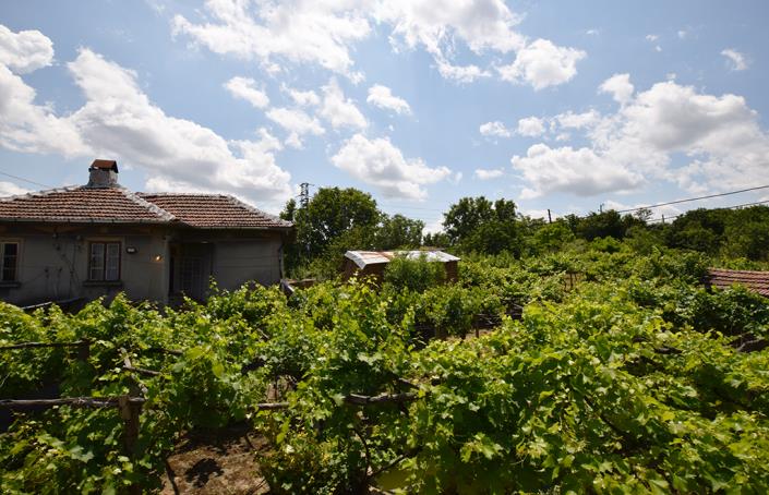 Image No.41-Maison de 2 chambres à vendre à Belene