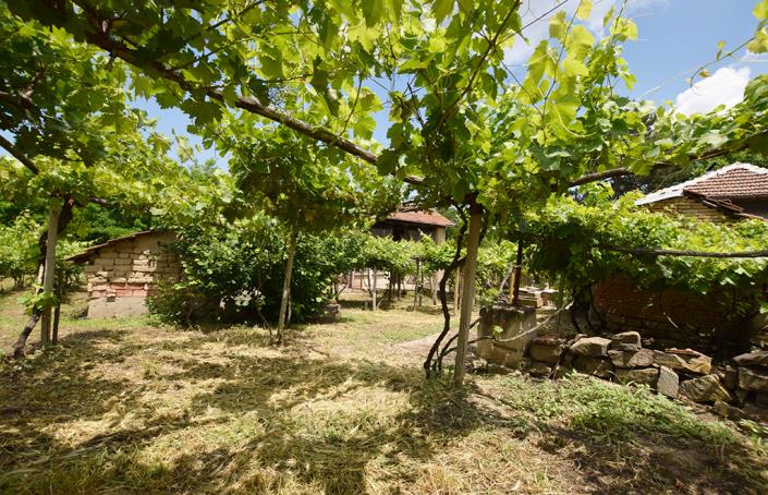 Image No.43-Maison de 2 chambres à vendre à Belene