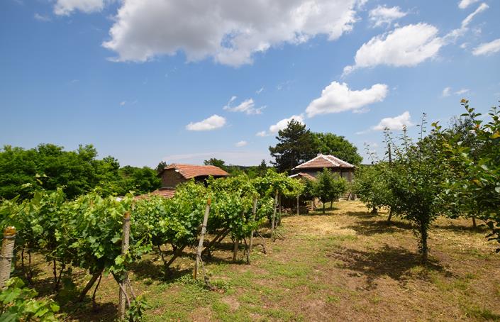 Image No.47-Maison de 2 chambres à vendre à Belene