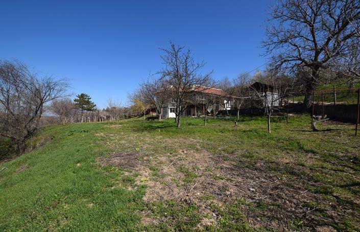 Image No.49-Maison de 3 chambres à vendre à Tsenovo
