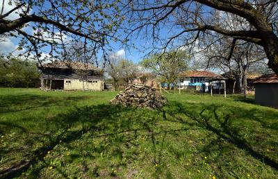 Pay-Monthly--Mowlem-Bulgaria--Gorotsvet--Fantasy-House--8