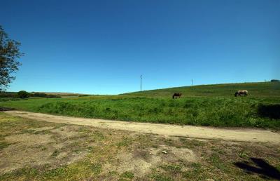 Mowlem---Ruse--Pay-Monthly-Bulgaria--Slomer--XXV--2