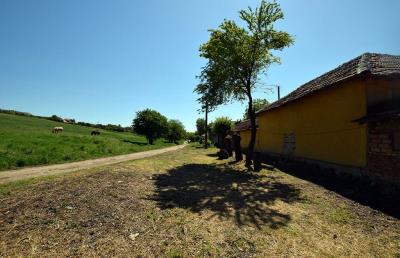 Mowlem---Ruse--Pay-Monthly-Bulgaria--Slomer--XXV--3