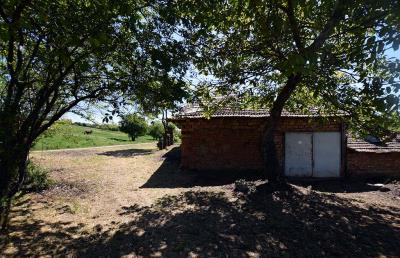 Mowlem---Ruse--Pay-Monthly-Bulgaria--Slomer--XXV--4