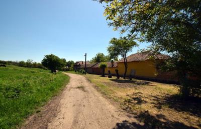 Mowlem---Ruse--Pay-Monthly-Bulgaria--Slomer--XXV--7