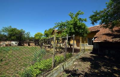 Mowlem---Ruse--Pay-Monthly-Bulgaria--Slomer--XXV--9