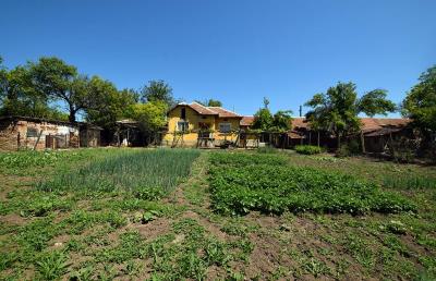 Mowlem---Ruse--Pay-Monthly-Bulgaria--Slomer--XXV--14