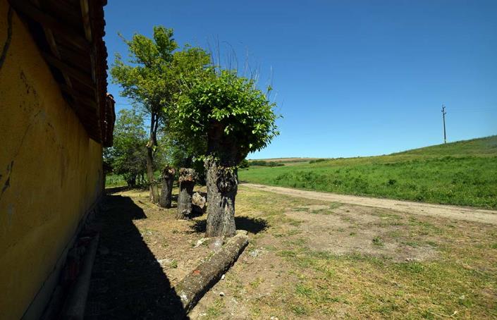Image No.57-Maison de 3 chambres à vendre à Slomer