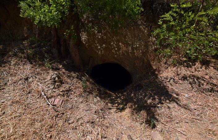 Image No.19-Maison de 2 chambres à vendre à Belene