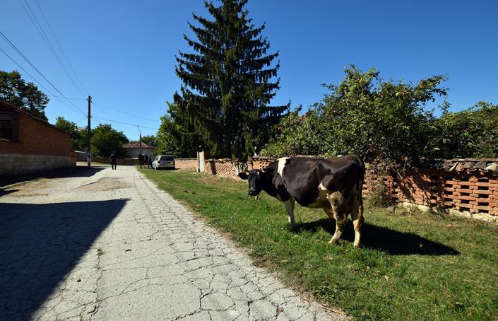 Image No.2-Maison de 3 chambres à vendre à Dve Mogili