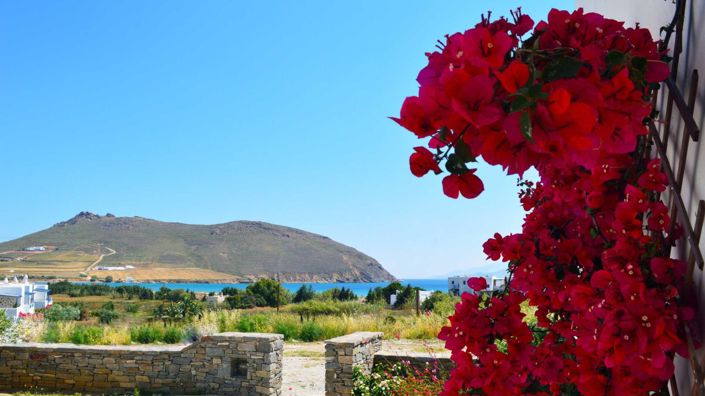 Image No.10-Maison de 3 chambres à vendre à Paros