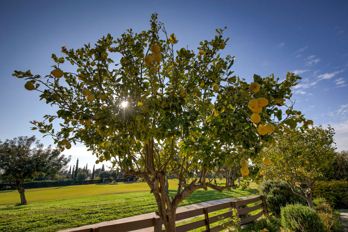 Image No.27-4 Bed Villa for sale