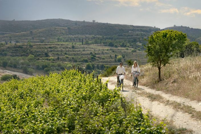 Image No.25-Villa de 3 chambres à vendre à Tsada