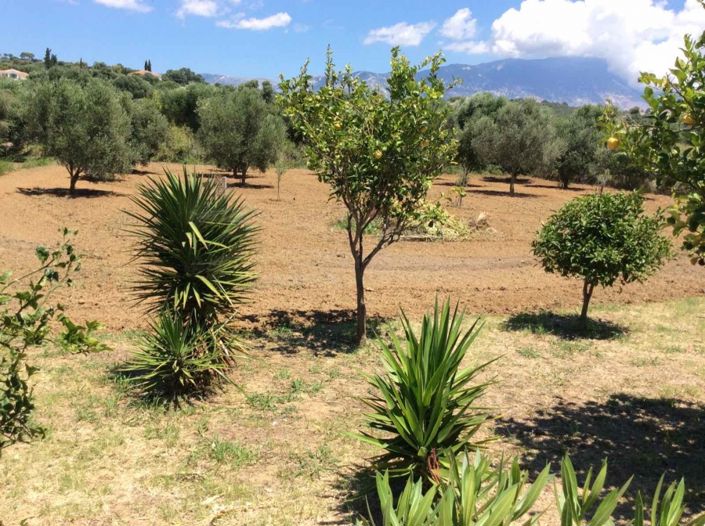 Image No.18-Villa de 3 chambres à vendre à Céphalonie