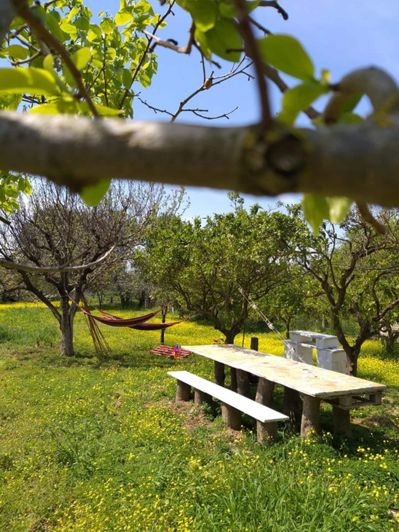 Image No.17-Villa de 2 chambres à vendre à Céphalonie