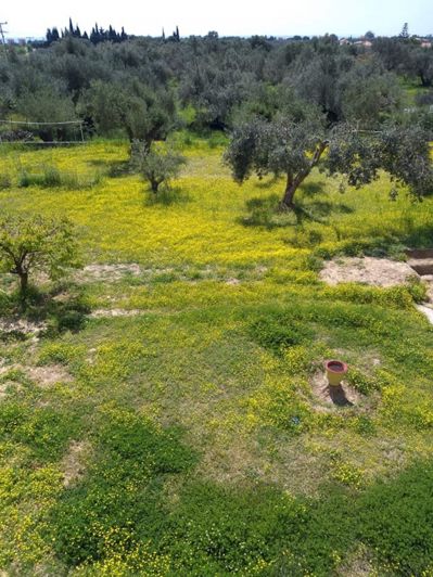 Image No.18-Villa de 2 chambres à vendre à Céphalonie