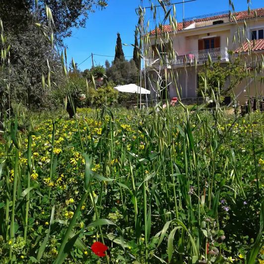 Image No.20-Villa de 2 chambres à vendre à Céphalonie